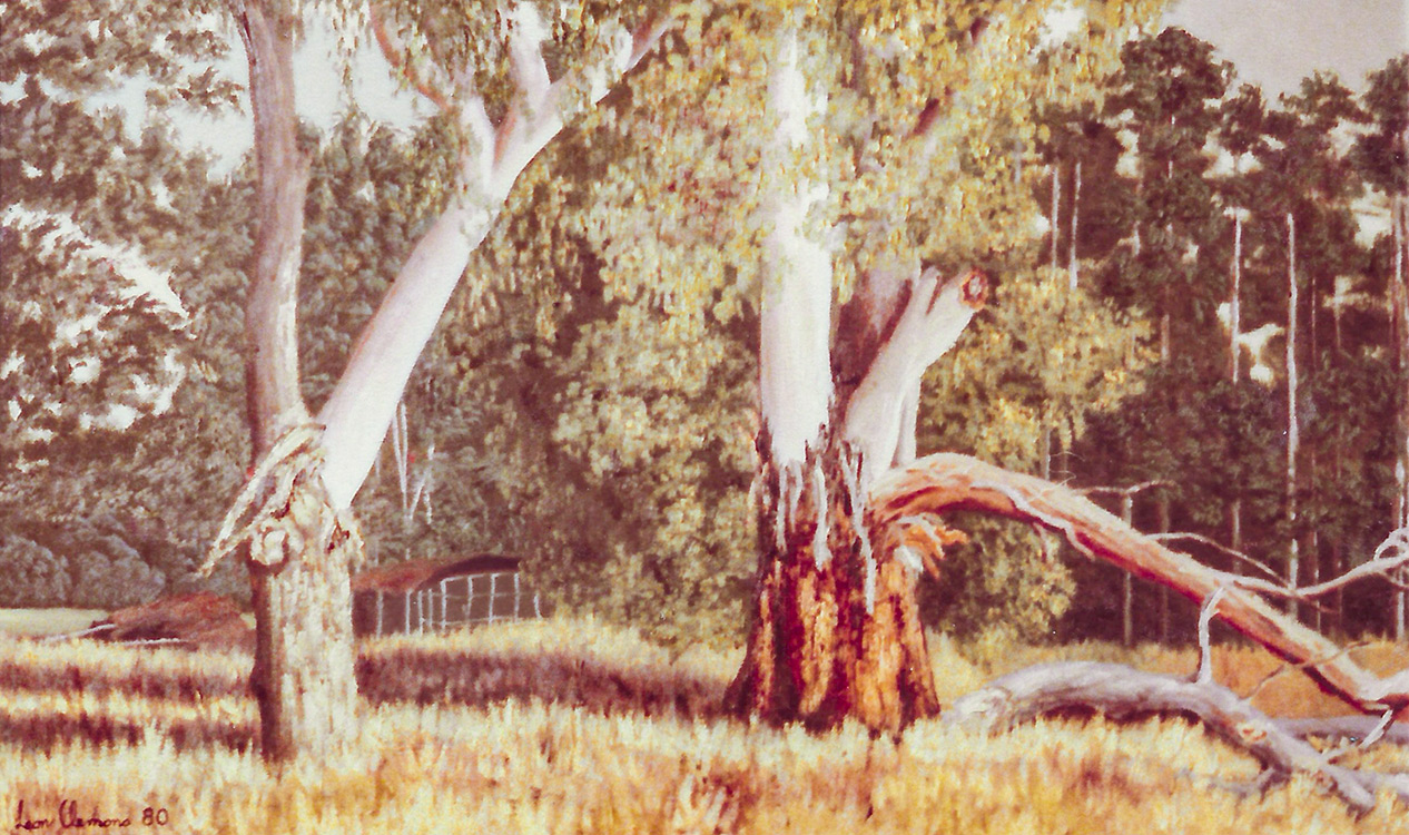 Leon's realistic painting - Bluegum Scene